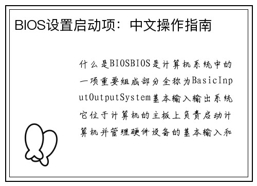 BIOS设置启动项：中文操作指南